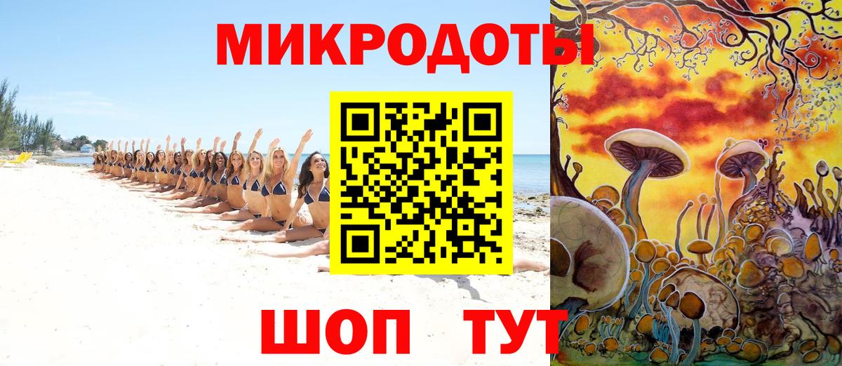 Галлюциногенные грибы Psilocybe Сунжа